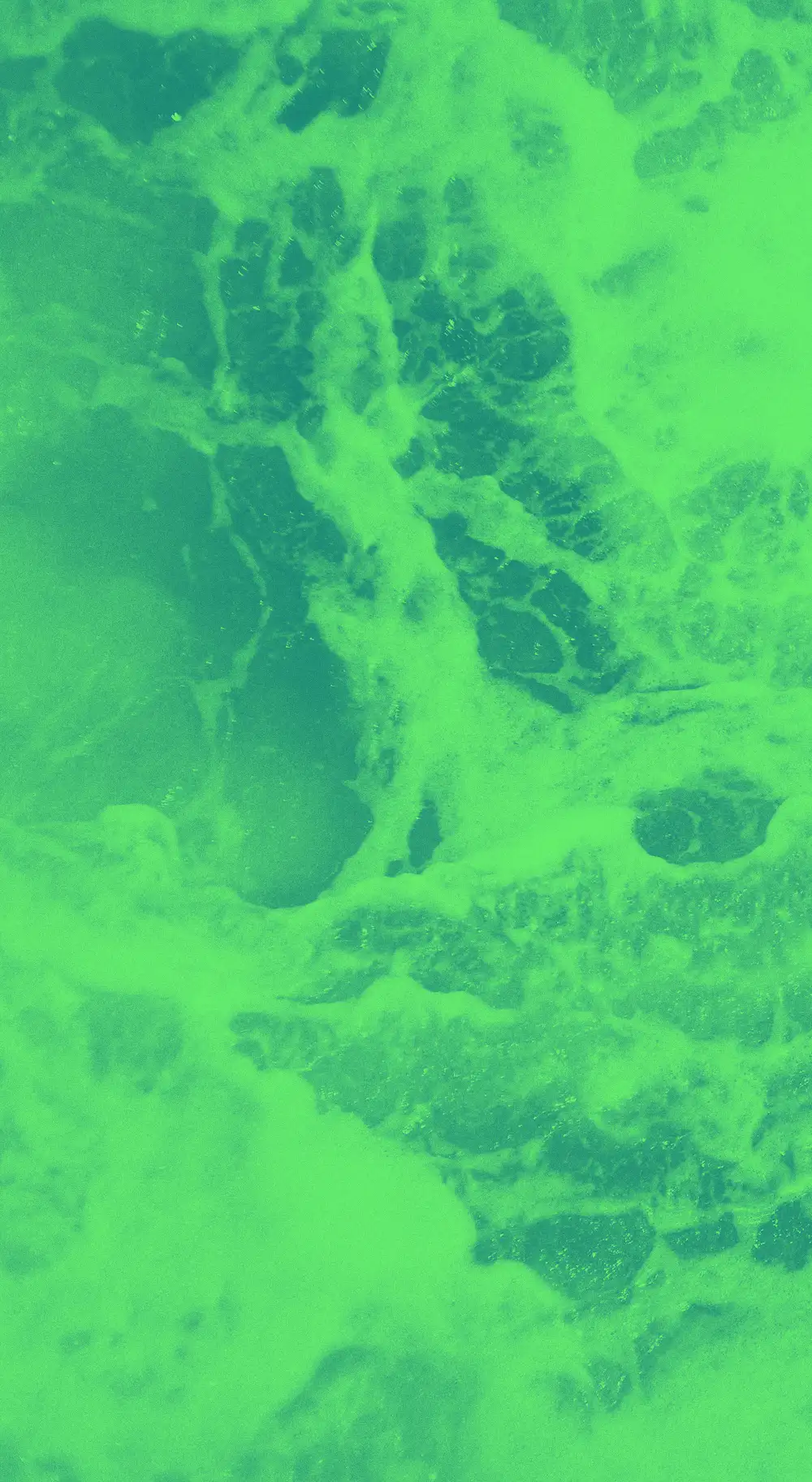 Green waves textural image
