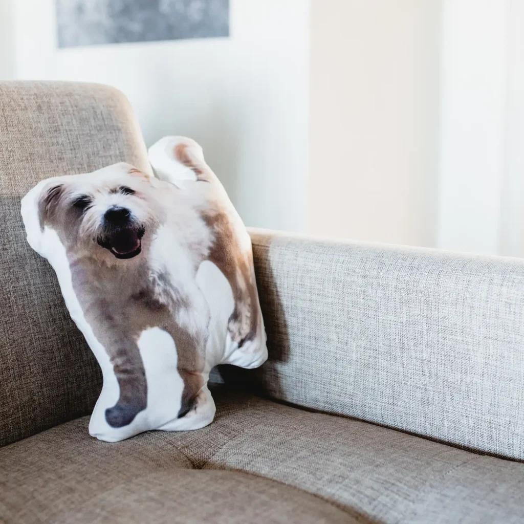 Dog pillow in our graphic design studio